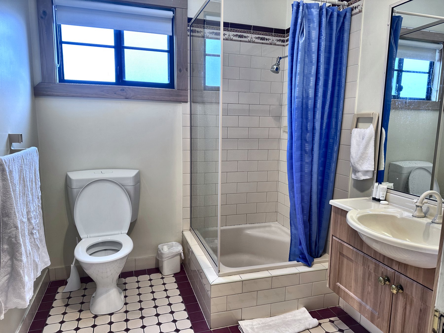 A cabin bathroom with a corner shower behind a blue curtain, a toilet and a vanity with a mirror