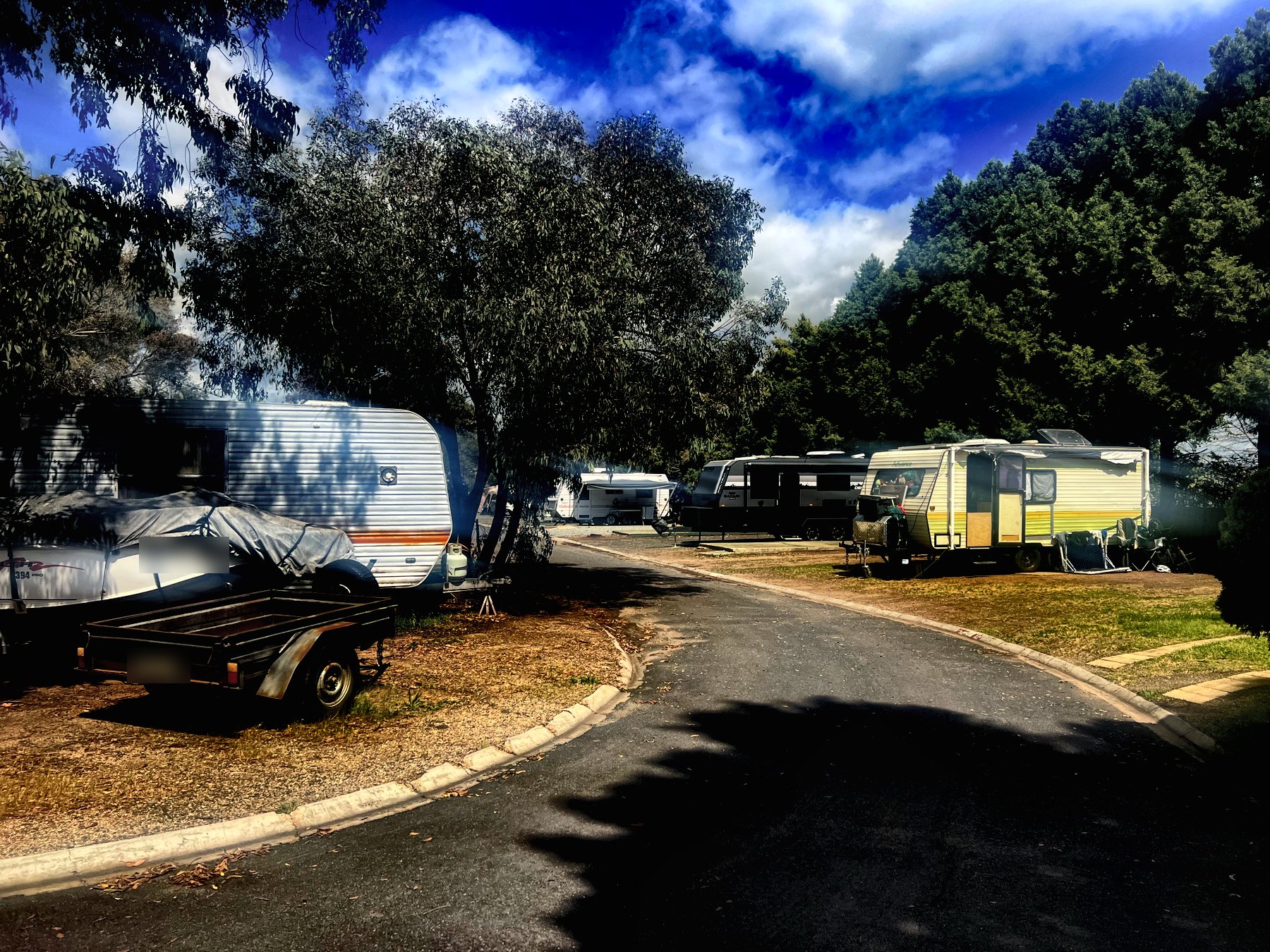 Caravans and a box trailer on grass sites along a kerbed park road under tall trees