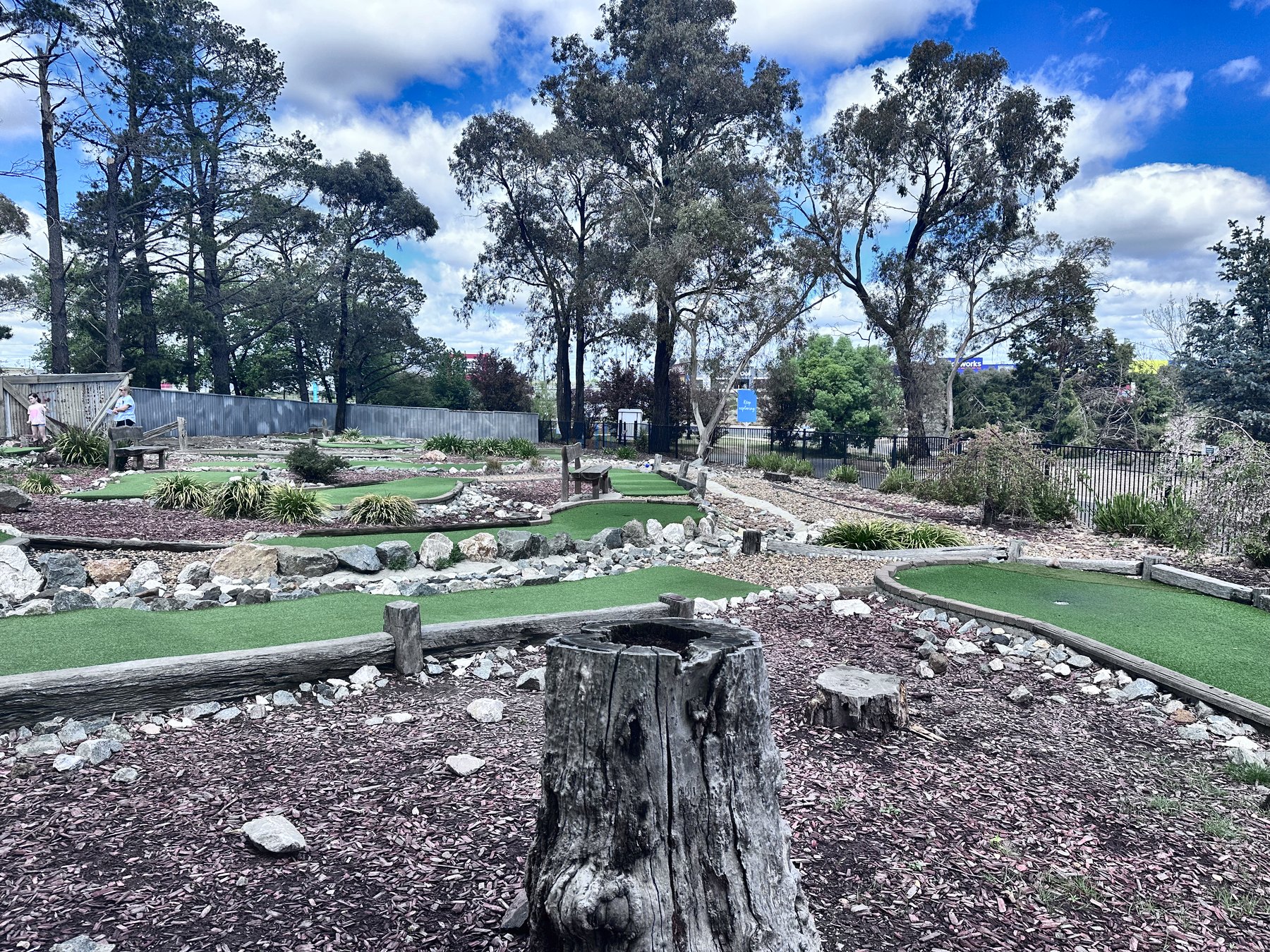 A mini golf course of rock-edged artificial greens winding between tree stumps under tall gums