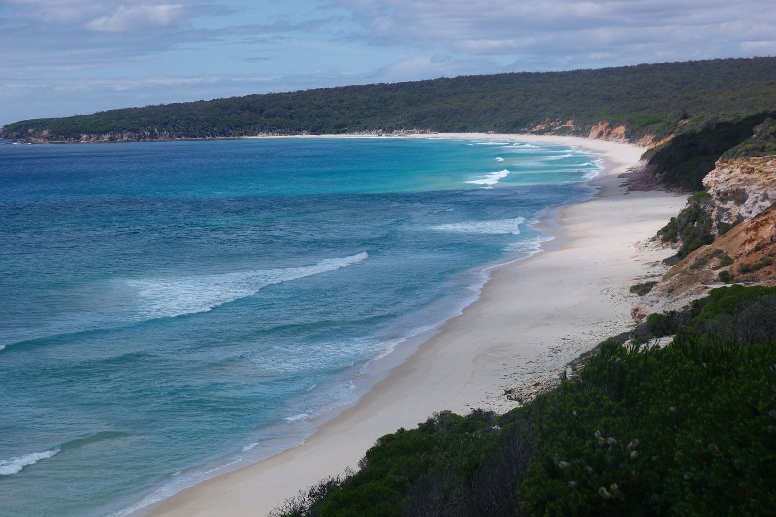 White beach running to a distant wooded headland, low surf breaking in even lines, seen from above through coastal scrub