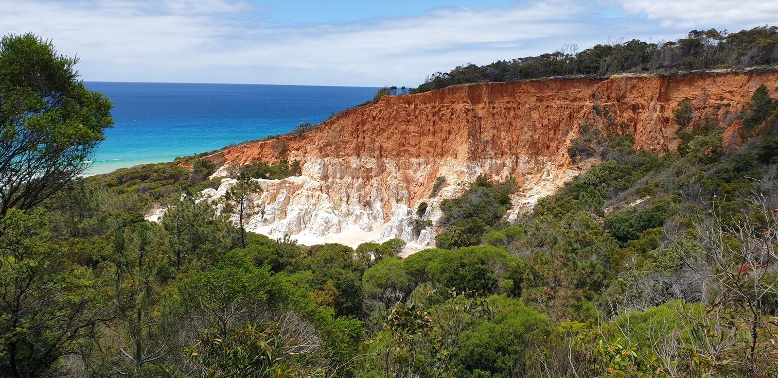 Eroded cliffs of white sand capped with bright orange gravel, standing above a forested gully with the blue sea beyond