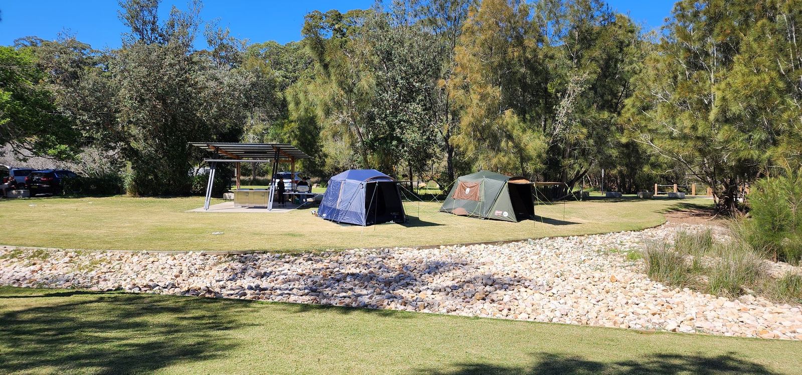 Tents pitched on mown grass between casuarinas at the Bonnie Vale campground, a shell-grit path running through