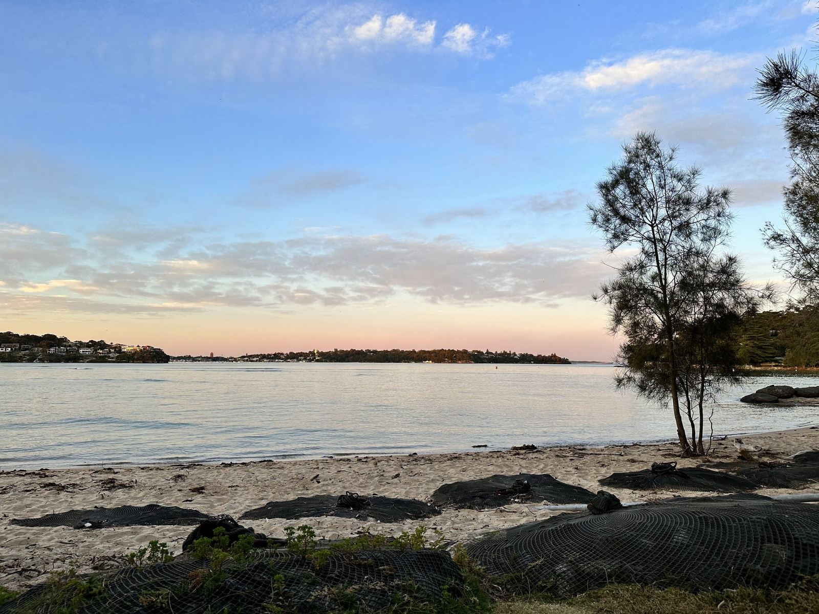 Evening light over a wide bay from a rocky shoreline, a low wooded point across the water and thin cloud above