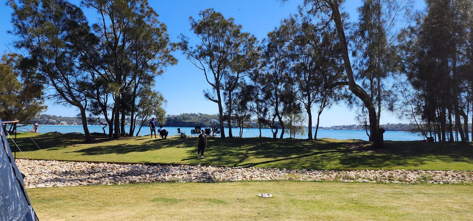 Open grass running down to the water between casuarinas, the far shore visible through the trunks
