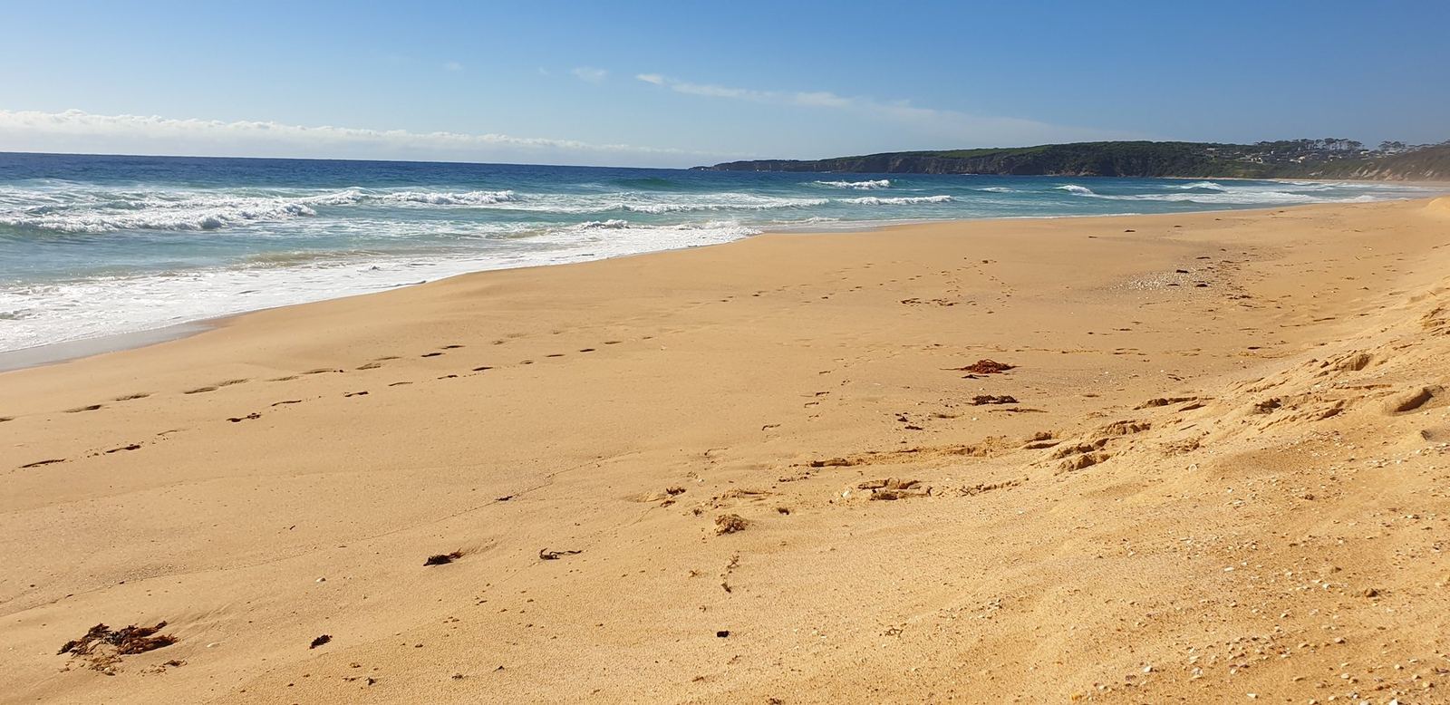 Wide empty beach at sand level, wet sand and shells in the foreground, a low green headland in the distance under a blue sky