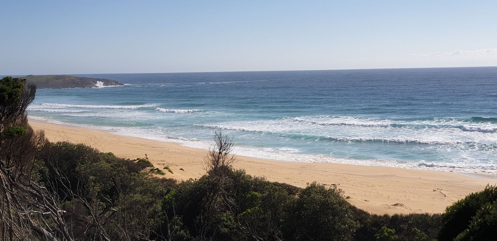 A long empty surf beach seen from a vegetated dune, clean swell breaking in lines, a wooded headland at the far end