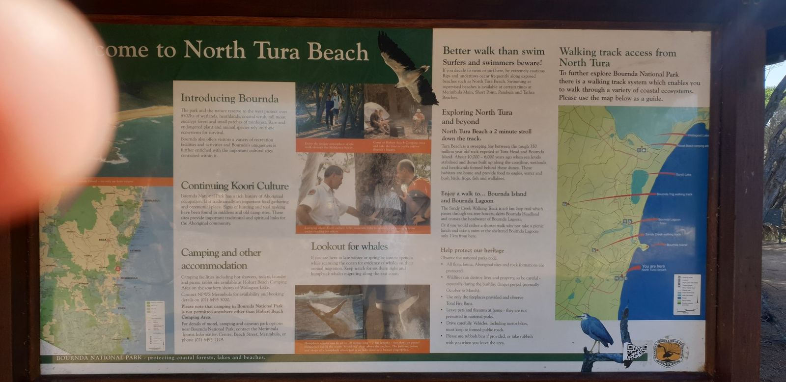 An NPWS interpretive panel headed Welcome to North Tura Beach with sections on introducing Bournda, connecting Koori culture, camping and other accommodation, and looking for whales