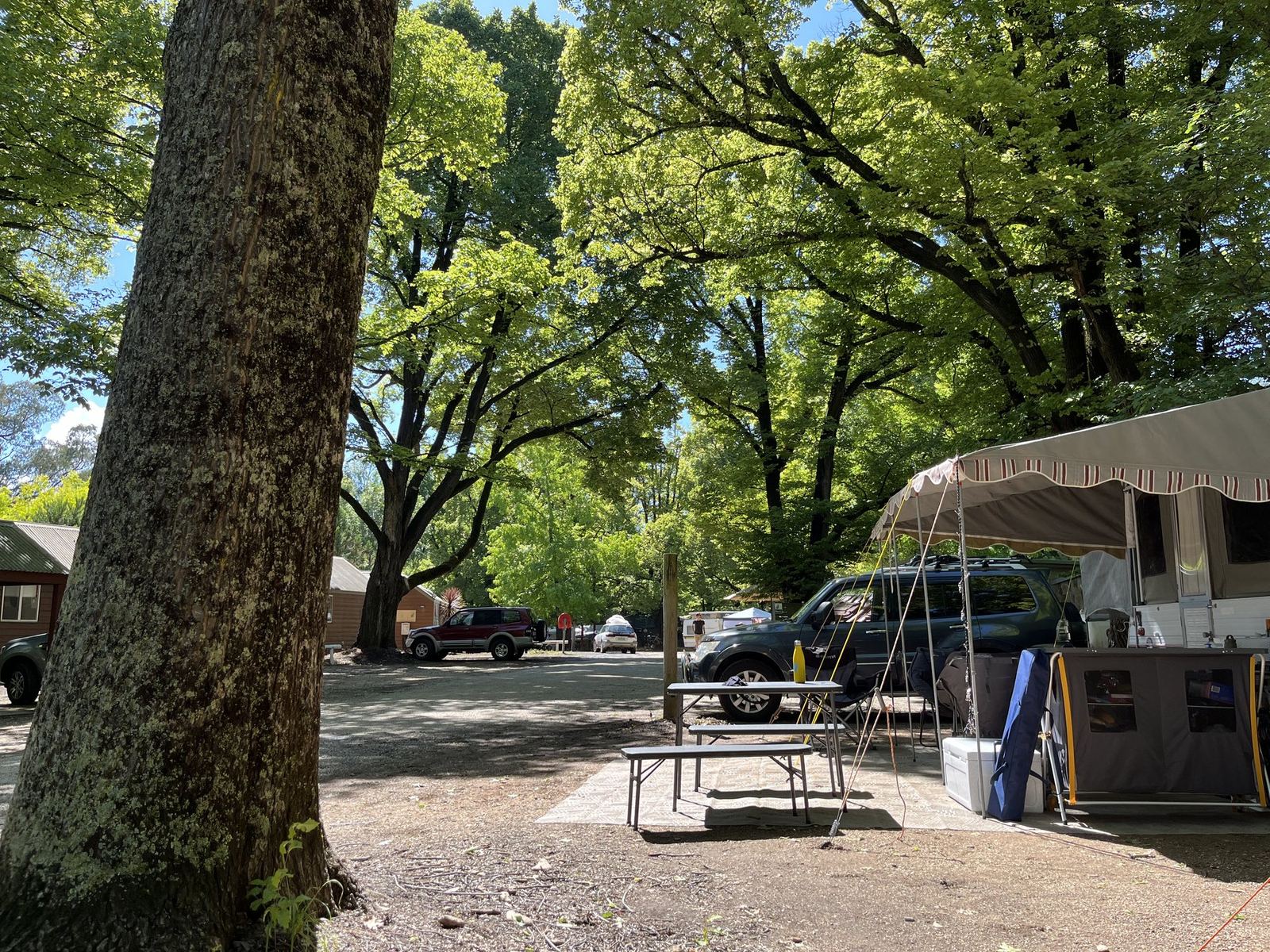 The campsite under tall green trees, canvas tent and vehicles behind a picnic table, a caravan on the next site