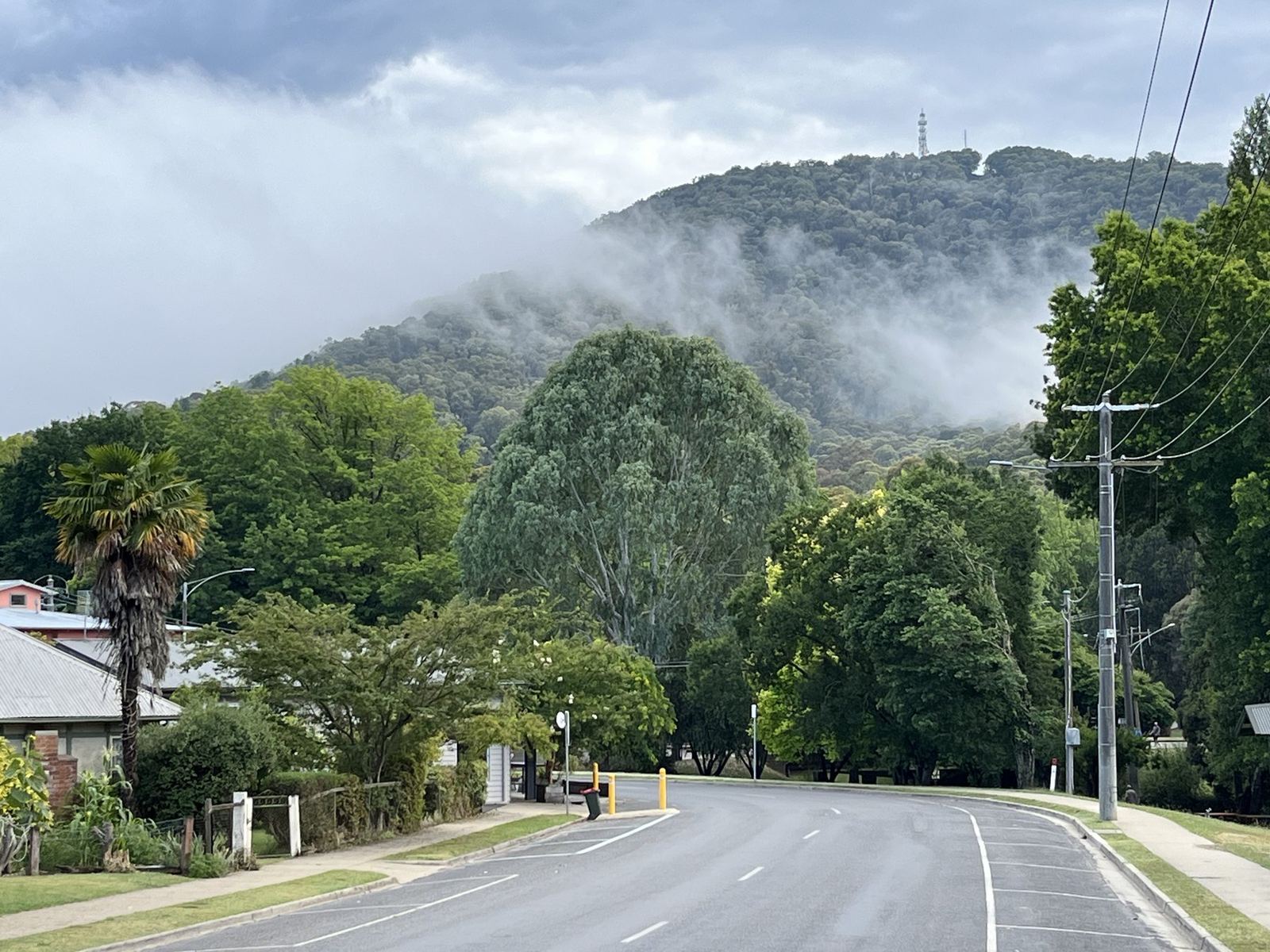 Cloud lying across a steep forested hill above the town, seen down an empty street lined with power poles and gardens