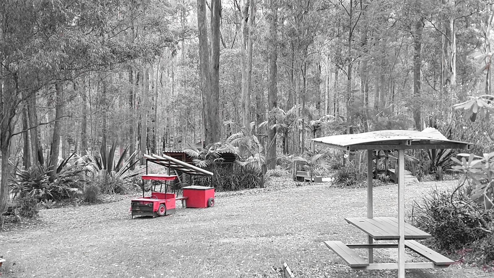A black and white photograph of the grounds at night with the red pedal karts parked by the picnic shelter, the karts left in colour