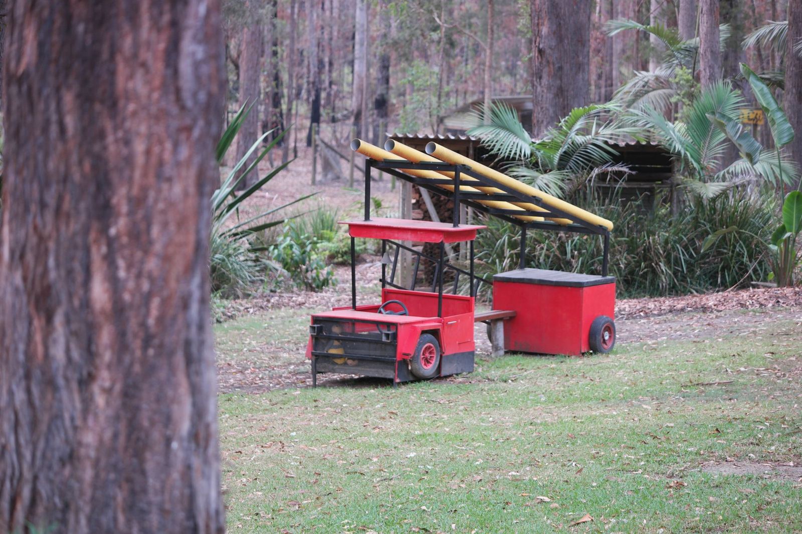 The karts seen through the trunks of the surrounding bush, morning light on the grass