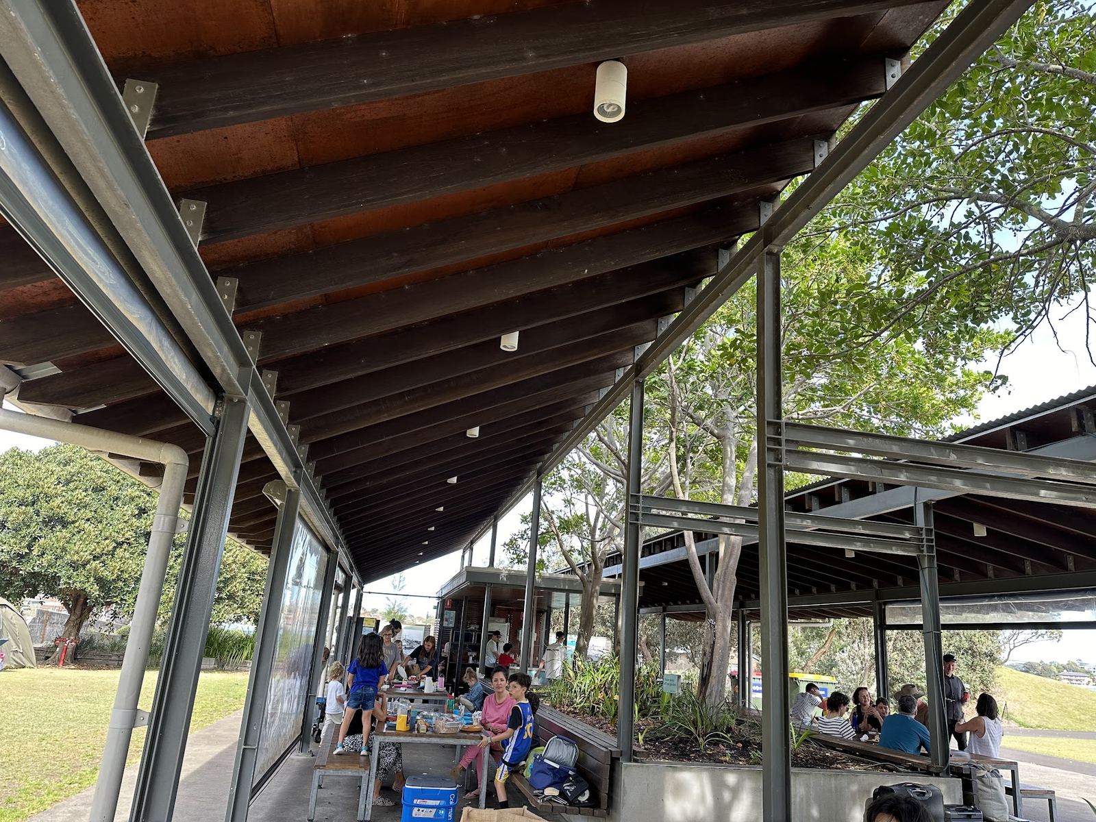 An open camp kitchen of steel posts and a timber roof with a fig growing up through the middle of it, picnic tables along one side