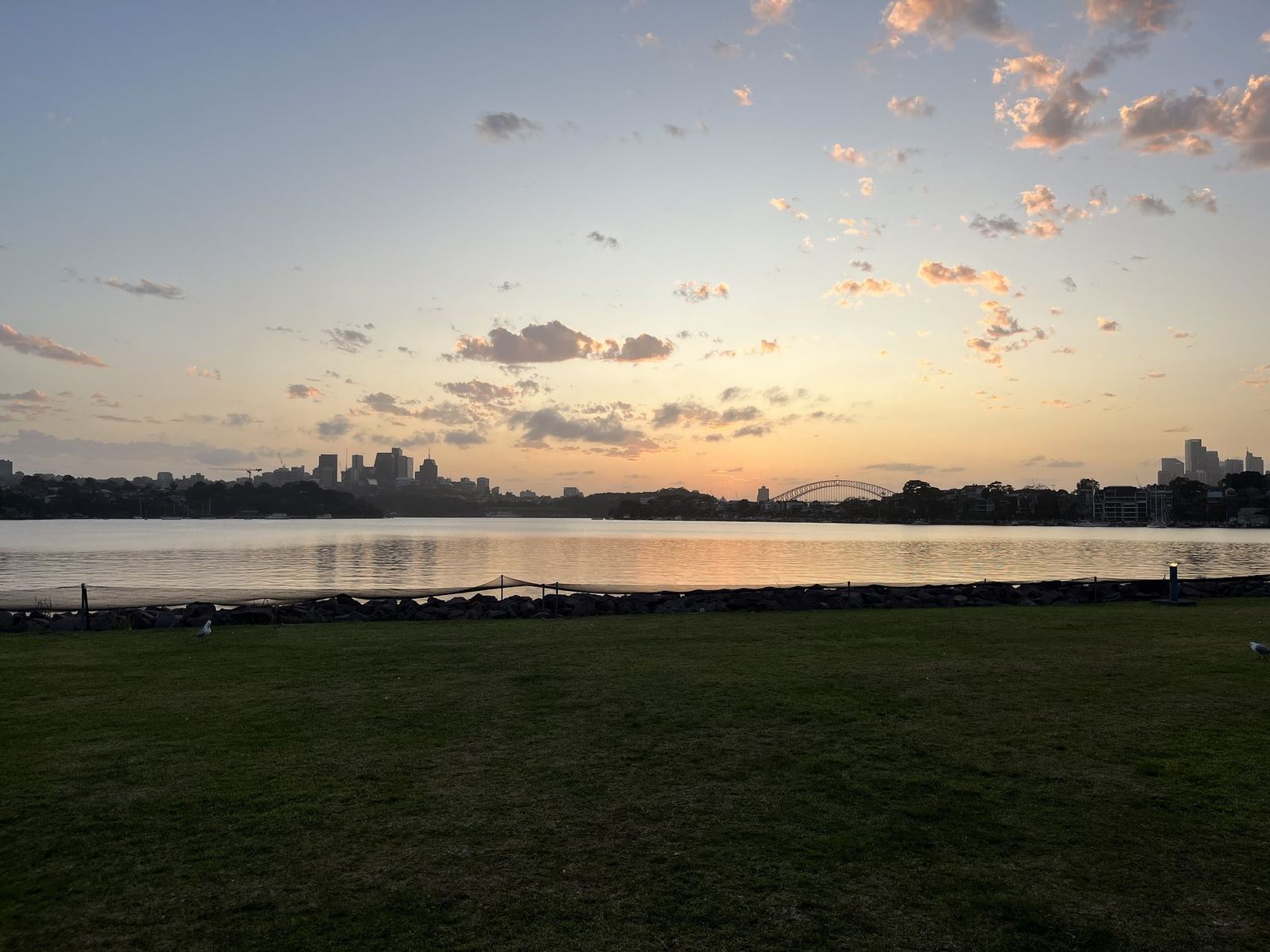 First light over the harbour before the sun is up, pink cloud above the city and dark grass in the foreground