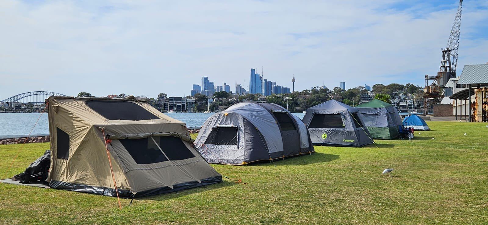 A row of tents pitched on the island's grass with the harbour, a crane and the city skyline behind