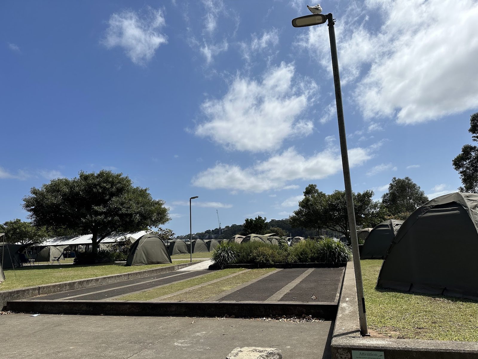 Tents on the grass under a tall lamppost with a seagull perched on top of it against a clear blue sky