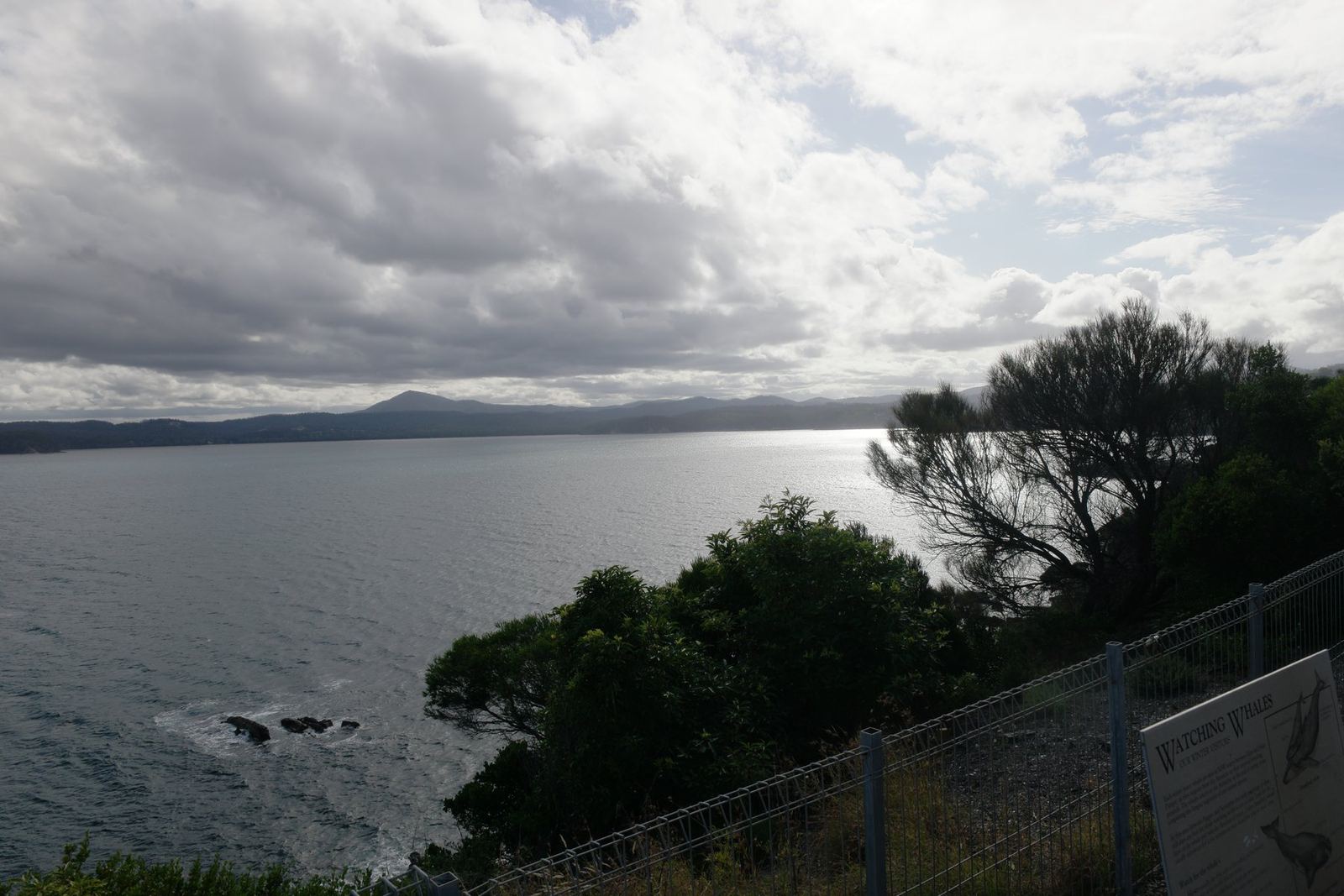 Twofold Bay under heavy grey cloud seen from the fenced clifftop at Eden Rotary Lookout, silver light on the water and distant blue ranges behind