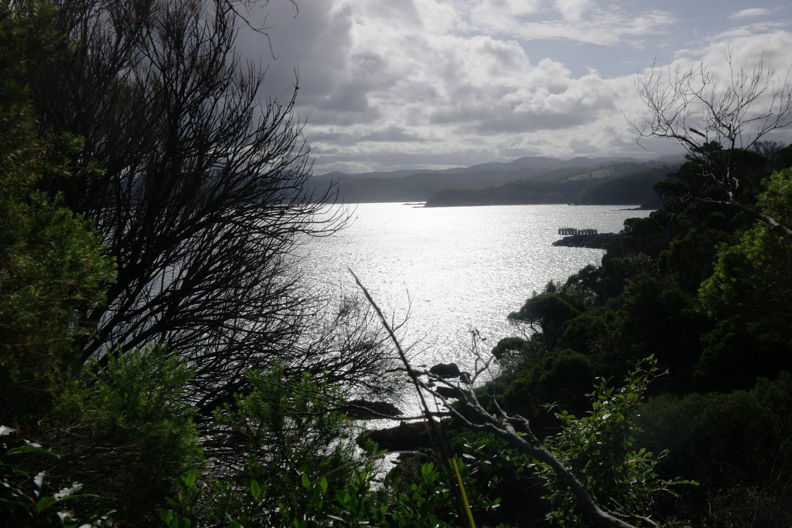 Heavy cloud over Twofold Bay with sun breaking through onto the water, burnt trunks in the foreground, blue mountains along the far shore