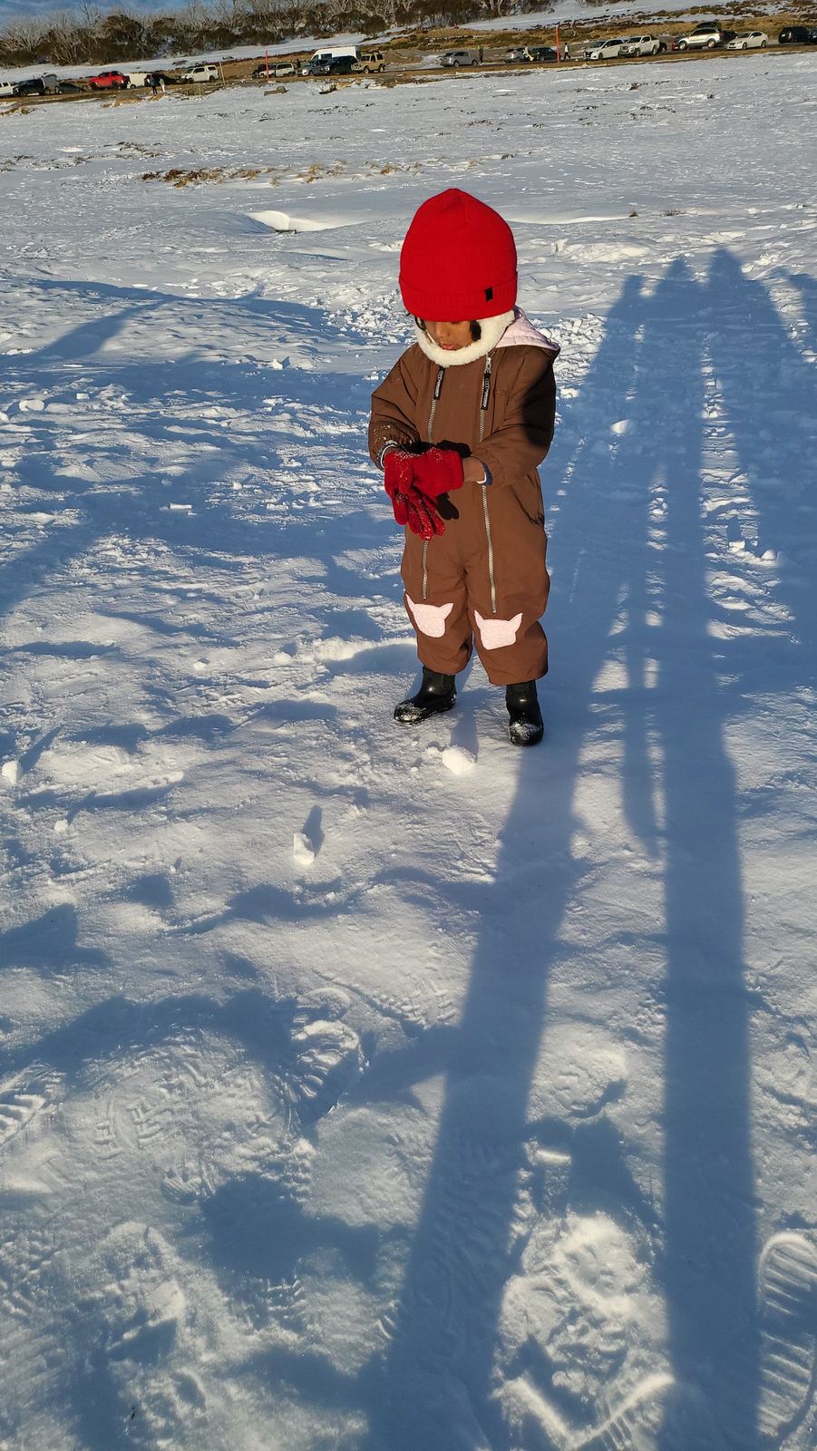 A small child in a brown snowsuit and red beanie standing on tracked snow, looking down at their gloved hands, long afternoon shadows across the frame