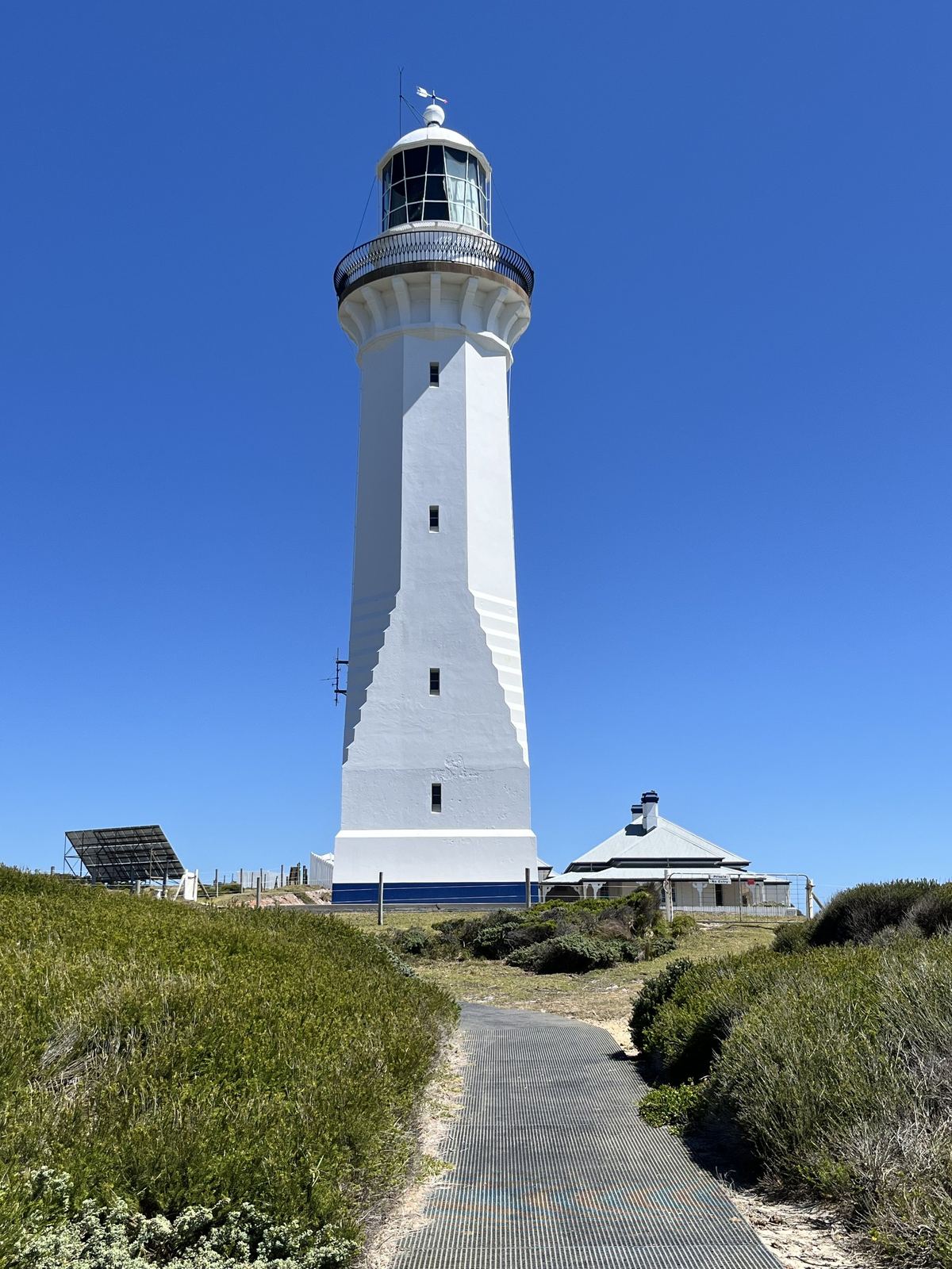 The lighthouse seen along the walking path, low coastal scrub either side