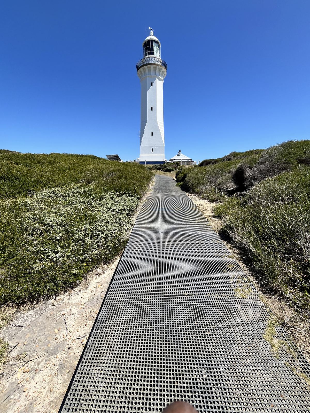 The same path a few steps further on, scrub on both sides and the tower ahead