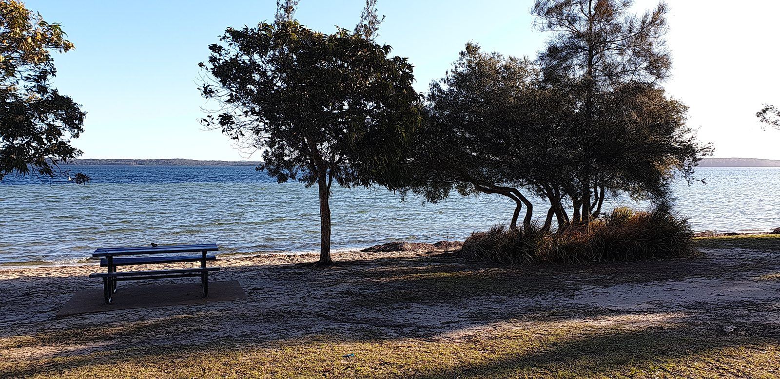 A picnic table on sand at the edge of a wide calm waterway, casuarinas leaning over the water and a low wooded shore in the distance