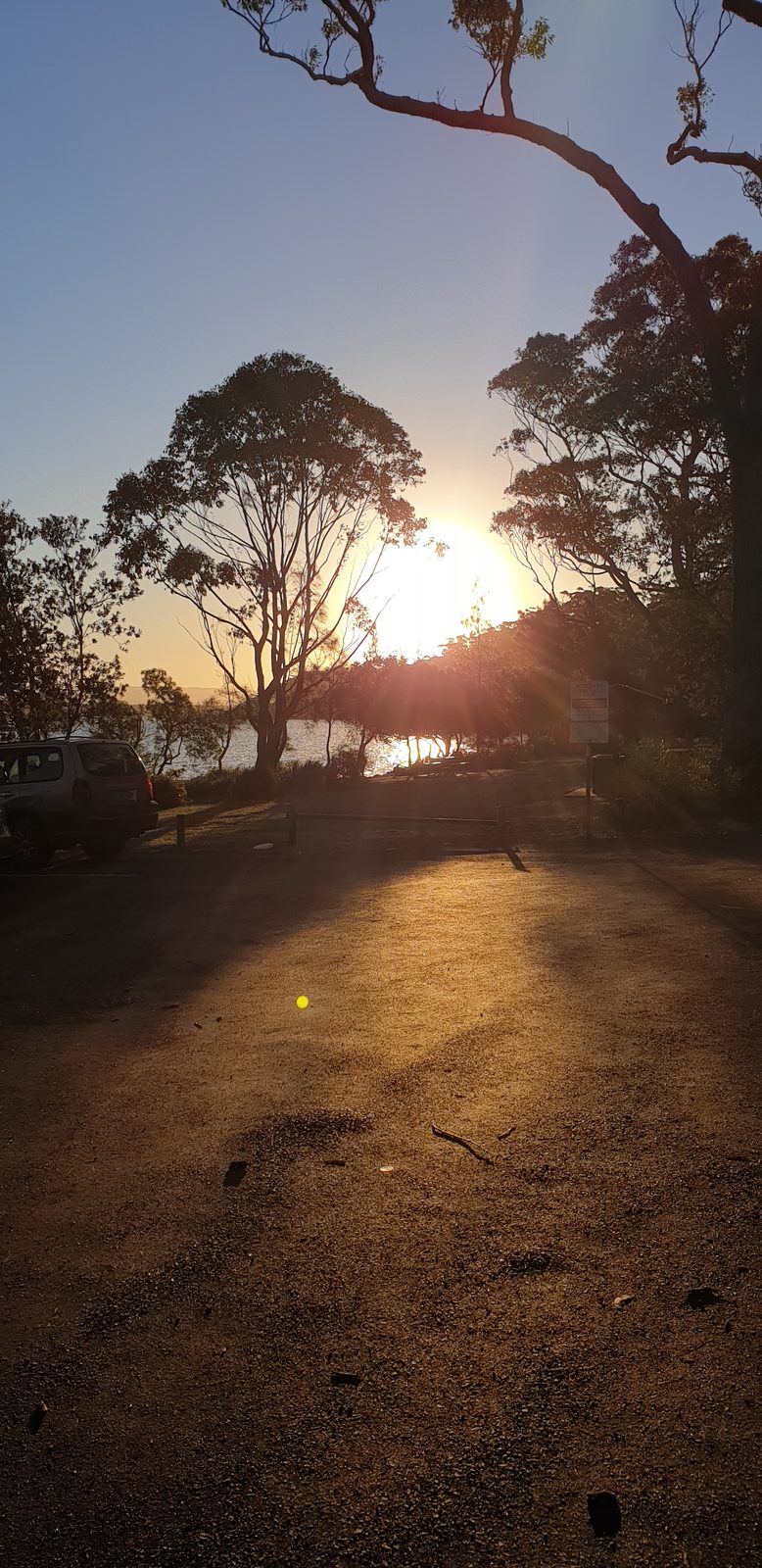 Low sun through eucalypts above a gravel car park at the foreshore reserve, long shadows across the ground