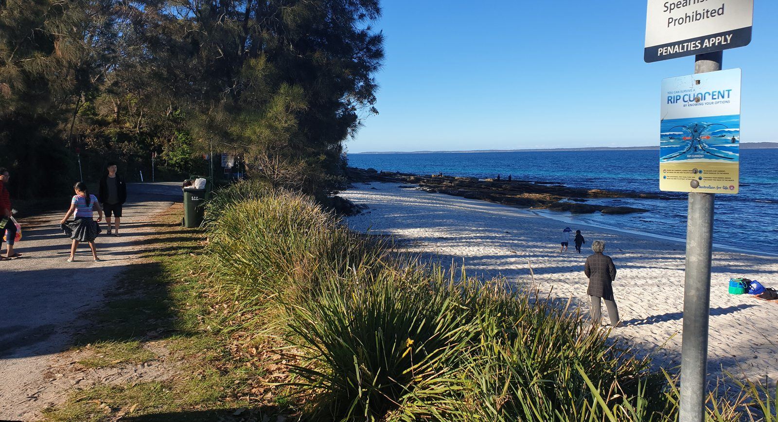A gravel path behind the beach with a rip current warning sign on a pole, the white sand and clear water beyond and casuarinas along the path