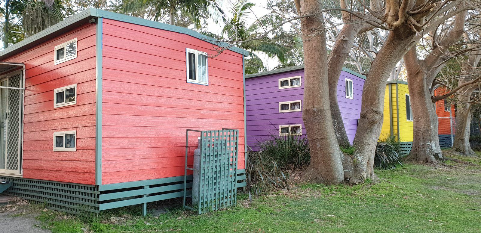 The same cabins seen from behind, red in the foreground with purple and yellow beyond, under large fig trees on mown grass