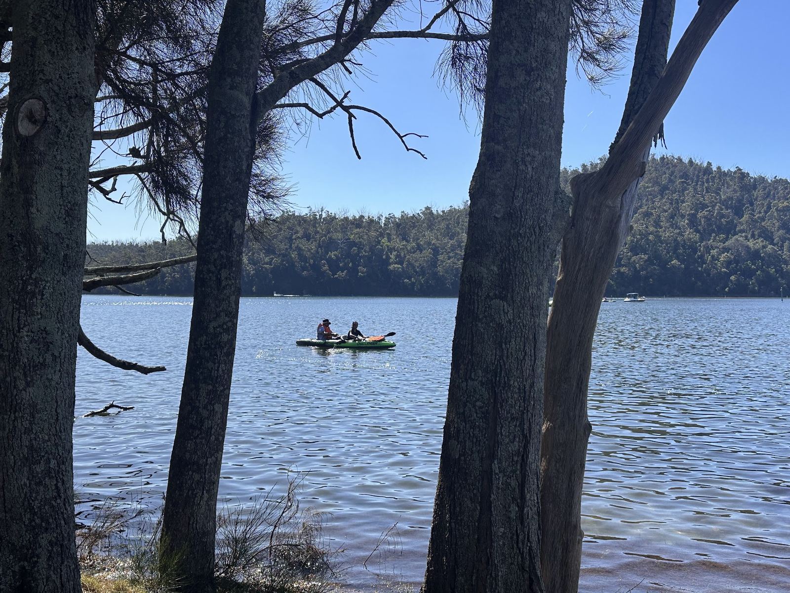 A green inflatable kayak with two paddlers out on a still lake, framed between the trunks of casuarinas on the bank, a forested ridge on the far shore