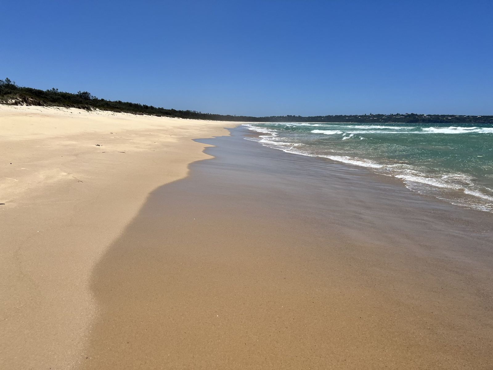 The beach running north towards a low wooded headland, small waves and no one on the sand