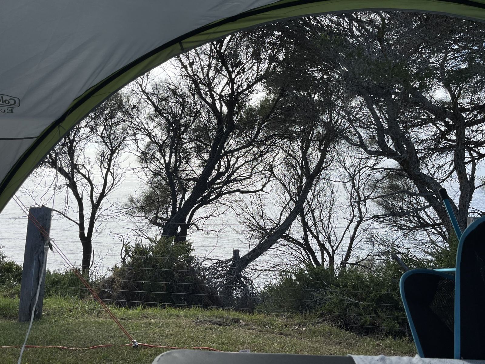 Looking out through a mesh panel to windblown banksia trees and the sea beyond, a guy rope running across the frame