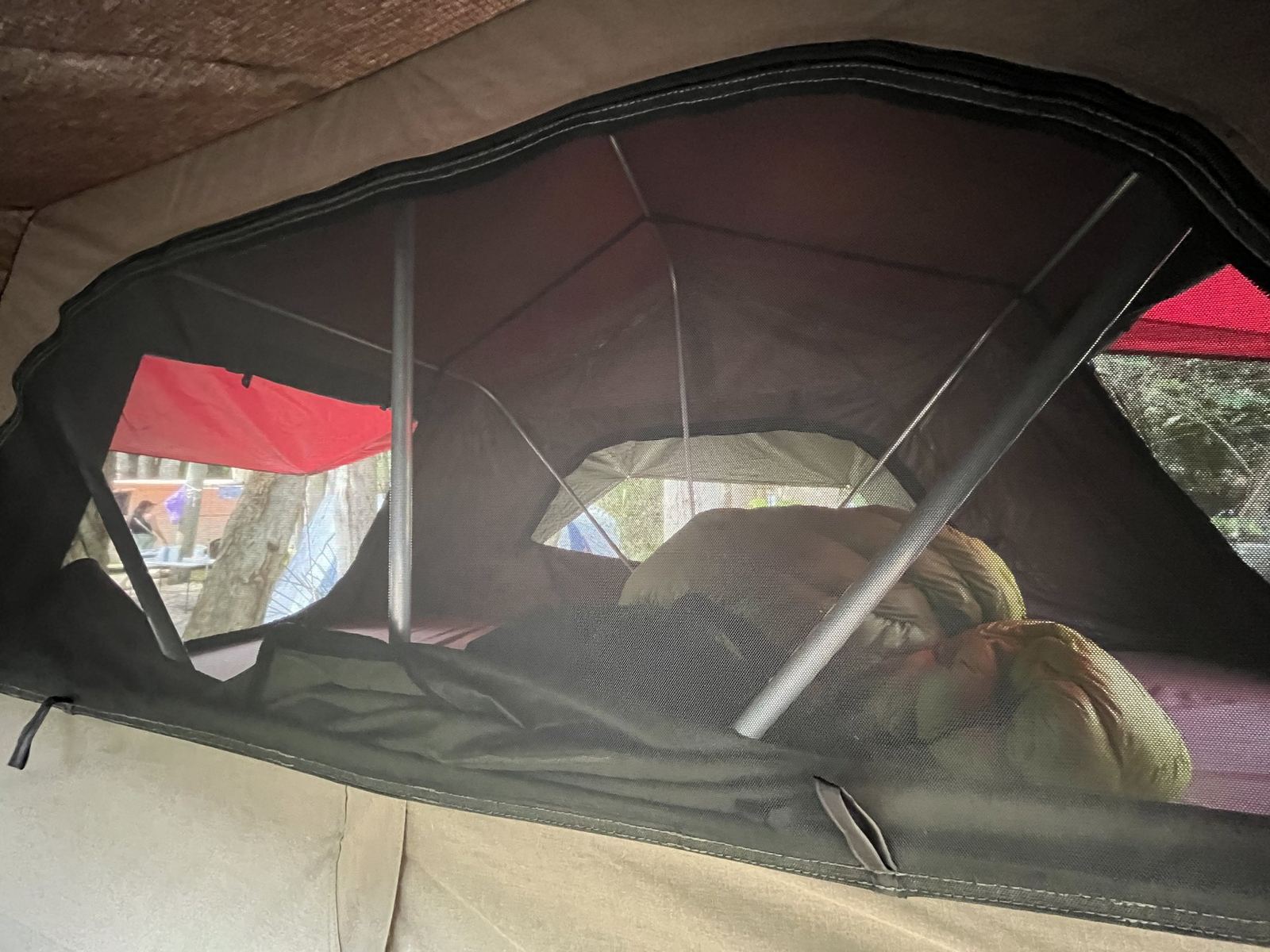 The inside of the rooftop tent looking out through its mesh windows, bedding laid out across the floor