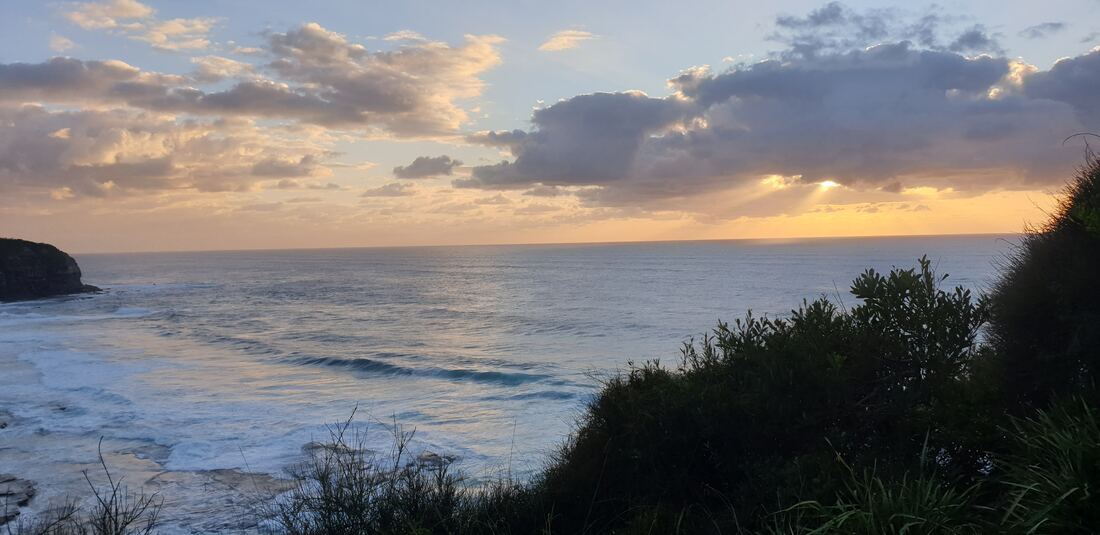 Dawn light on the coast from North Narrabeen Headland, banksia scrub in the foreground
