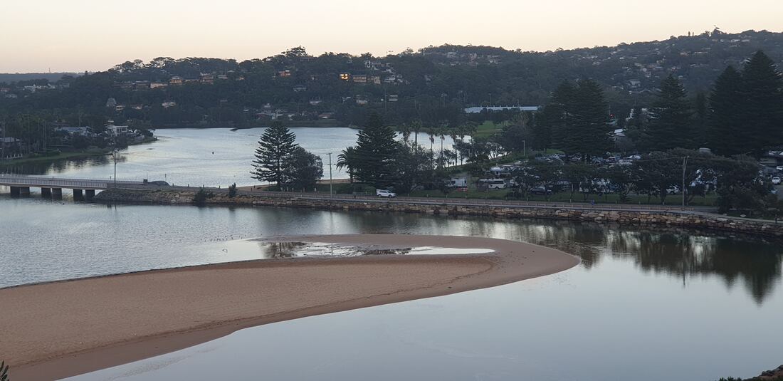 Narrabeen Lagoon seen through coastal scrub from the headland walking track
