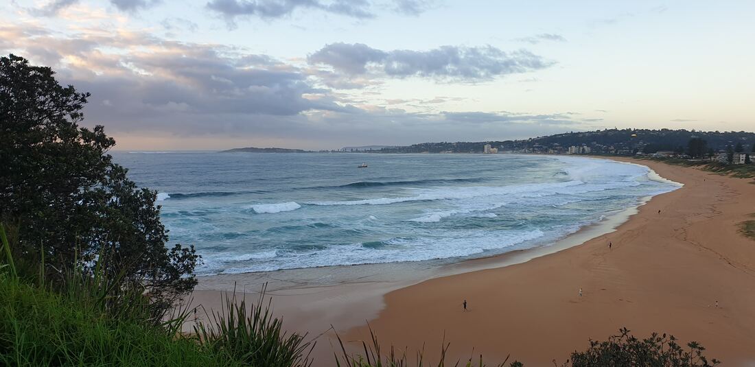 North Narrabeen beach curving away to the north, seen from the coastal walkway at dawn