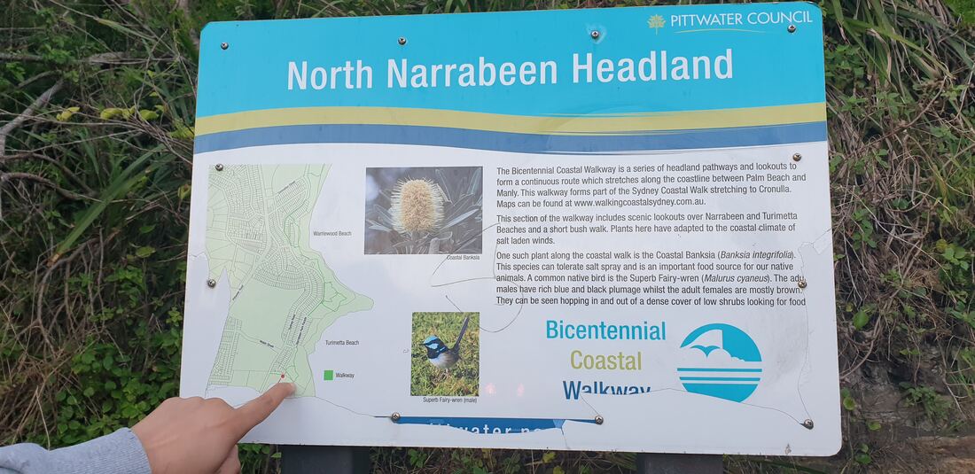 Interpretive sign for North Narrabeen Headland on the Bicentennial Coastal Walkway