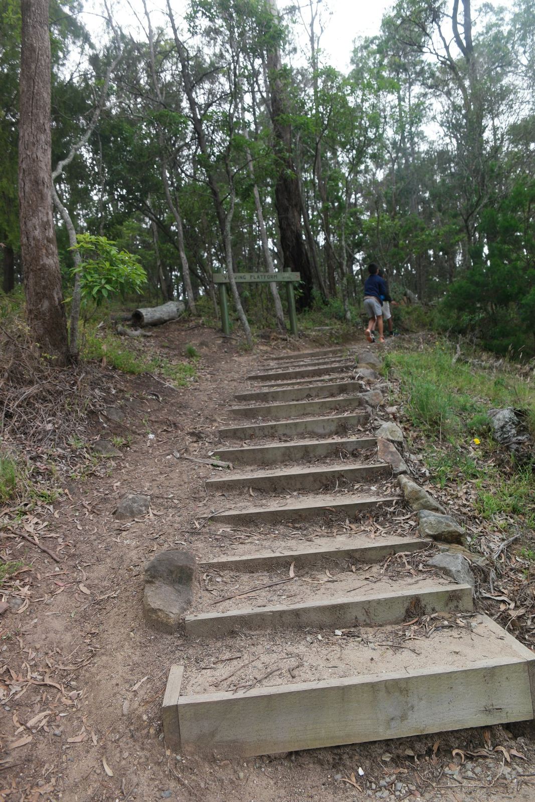 Timber and stone steps rising steeply through bush, a bench at the top of the rise and a walker just cresting it