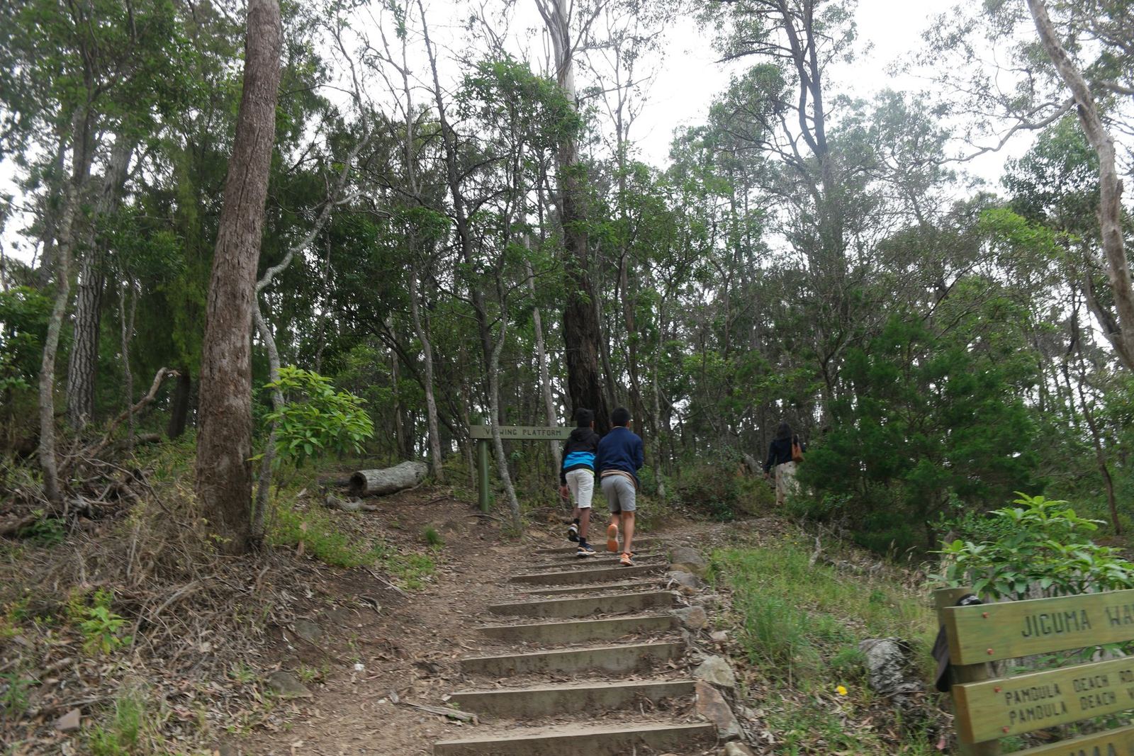 A stepped dirt walking track climbing through open eucalypt forest, two people ahead on the steps, a timber trail sign at the right reading Jiguma Walk and Pambula Beach