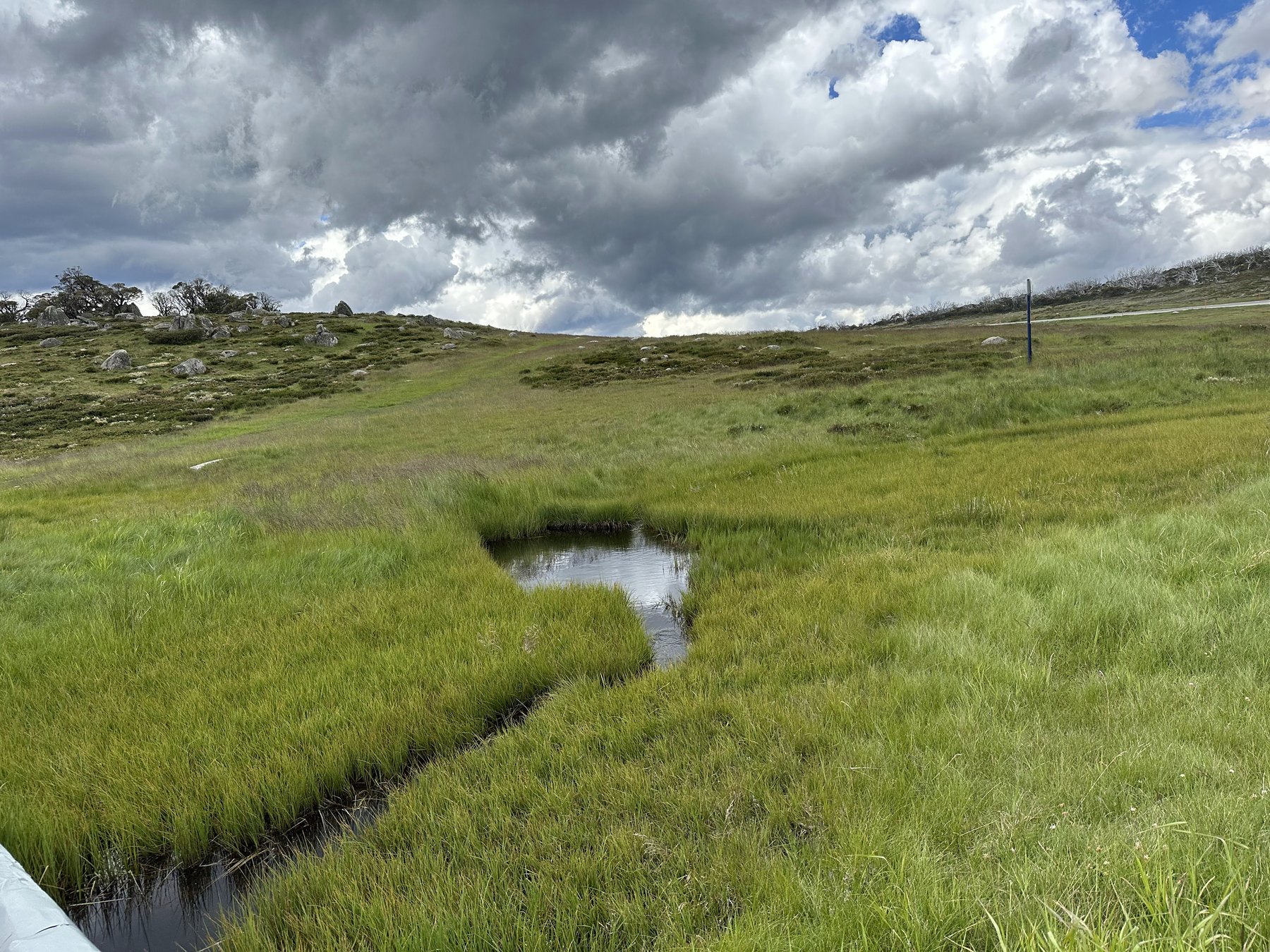 A small pool of dark water in thick green alpine grass, boulders on the slope beyond and heavy cloud above