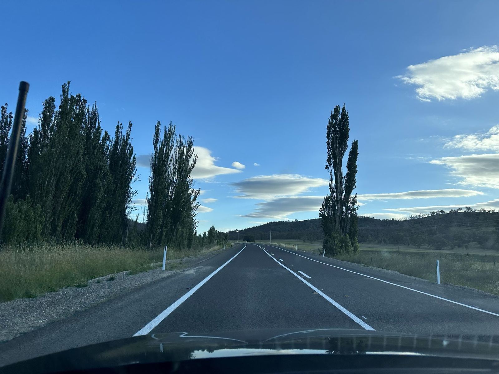 A straight road running between tall poplars towards low hills, late afternoon light and a scattering of cloud