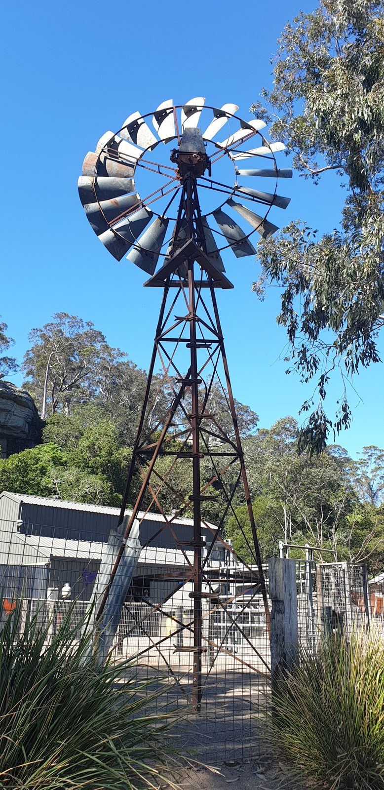 A tall steel farm windmill against a clear blue sky, standing above sheds and bushland at the edge of the animal enclosures