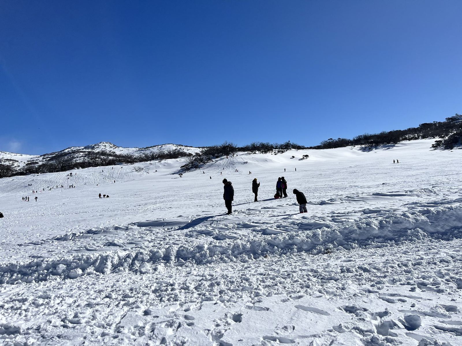 A broad open snowfield rising to a treed ridge under a deep blue sky, with small distant figures scattered across it