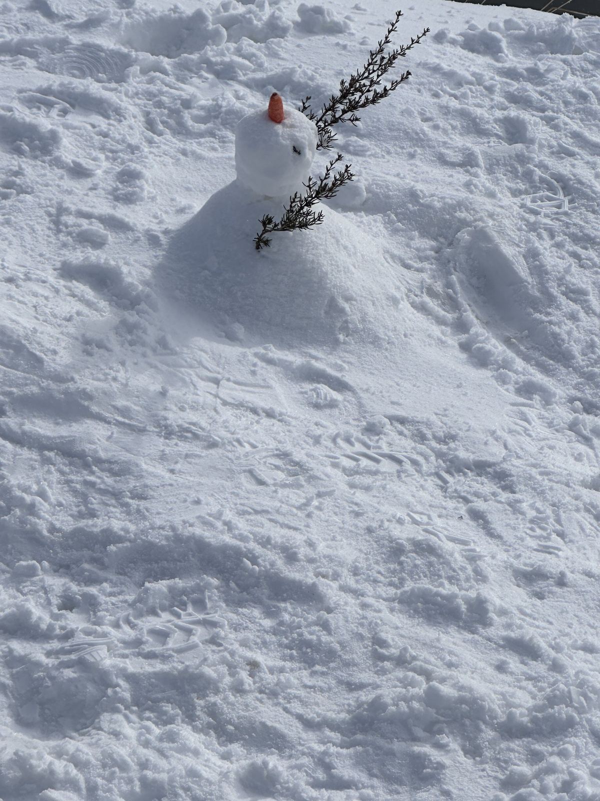 A small snowman with a carrot nose and twig arms standing in churned-up snow covered with footprints
