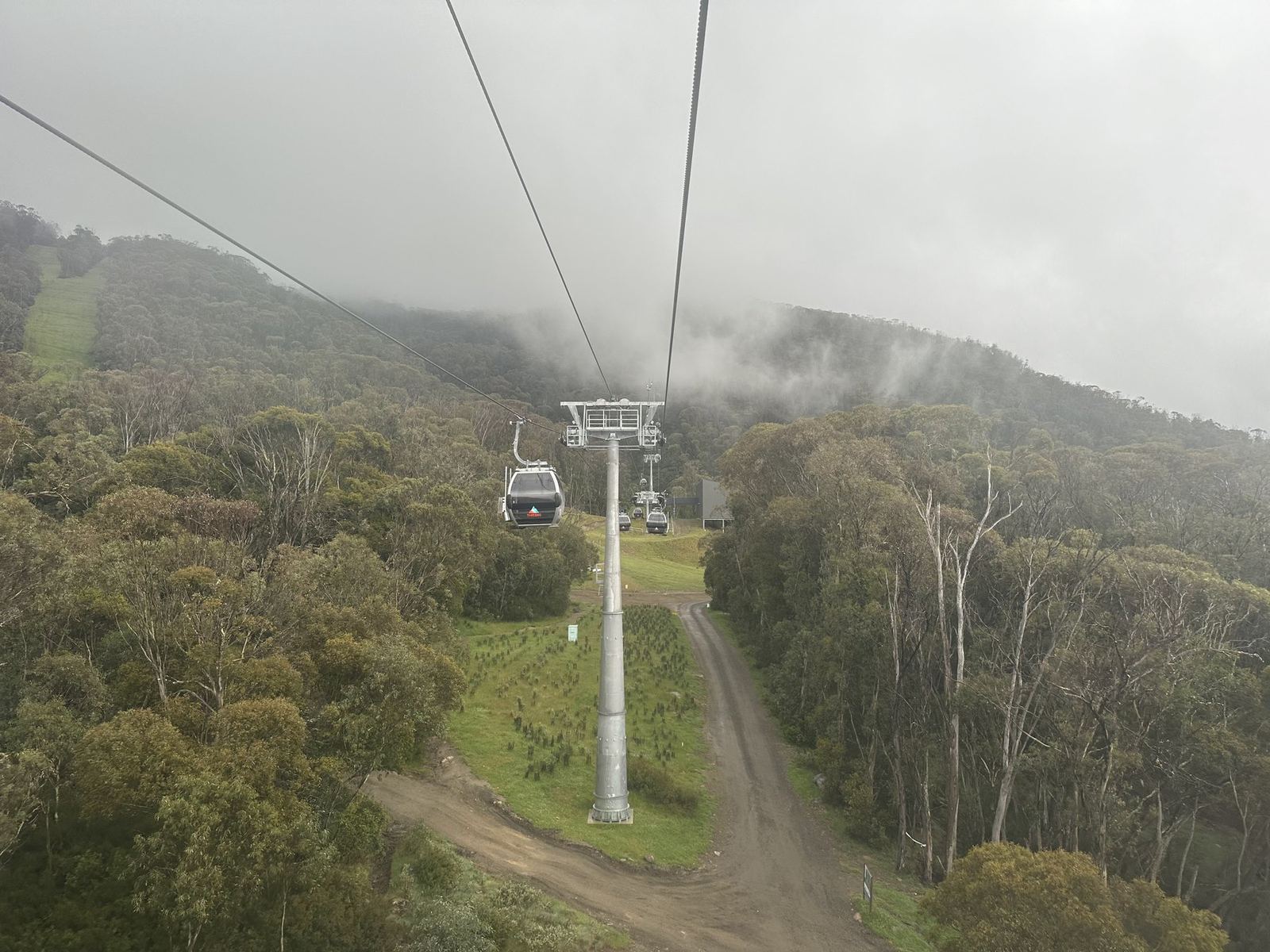 Gondola cabins on a cable above snow gums and a dirt service track, the ridge ahead lost in cloud
