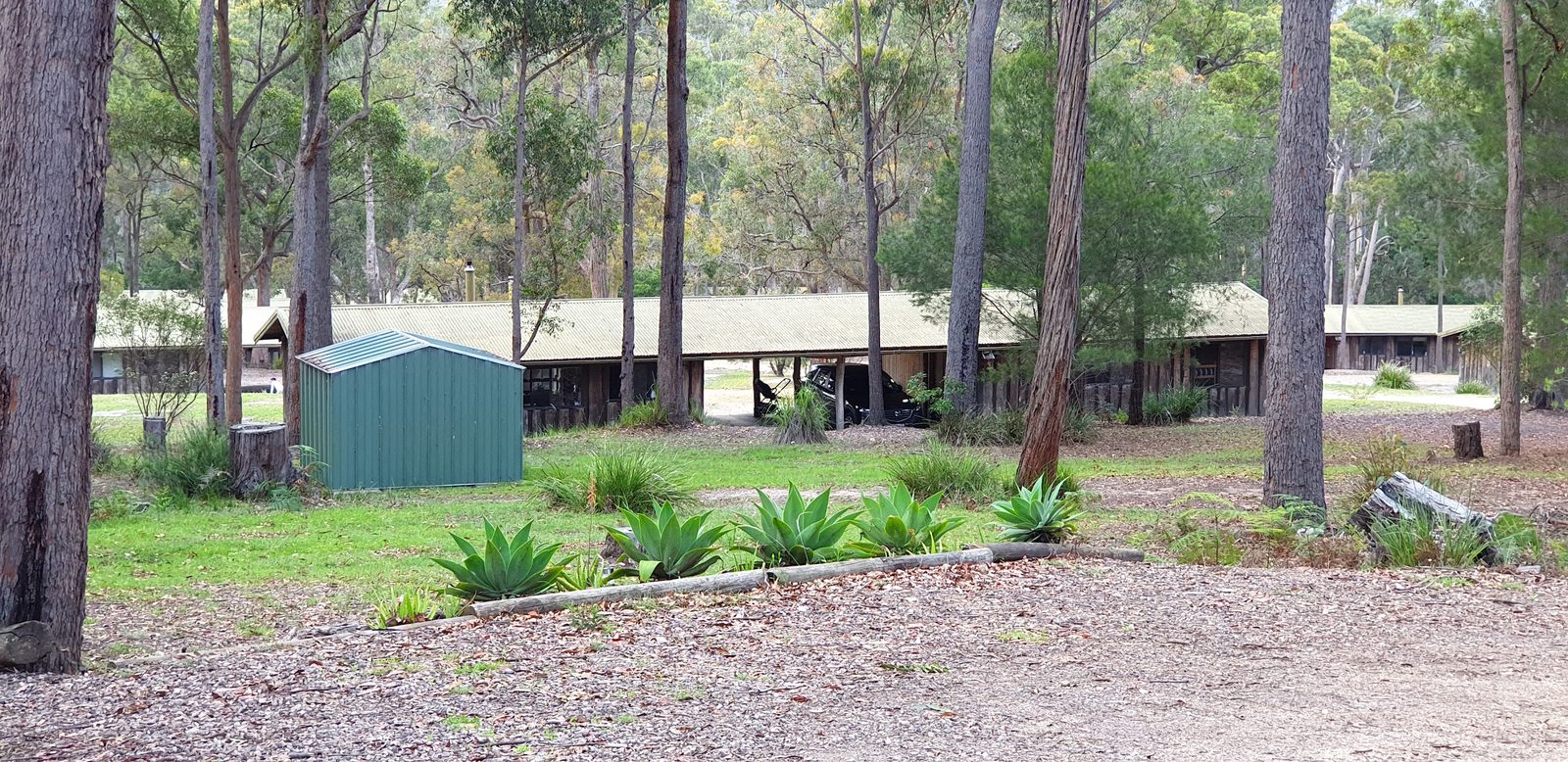 A long timber cabin block with a pale green corrugated roof standing back among tall eucalypts across a grassed clearing, a small teal garden shed in the foreground and a car parked in the open carport beneath the roofline