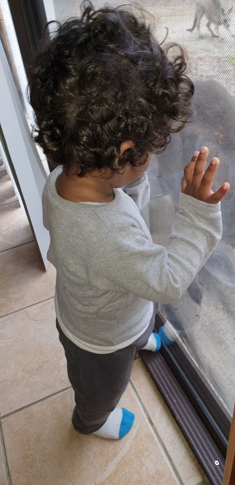 A toddler standing at a cabin screen door in socks, hand on the mesh, kangaroos visible on the ground outside